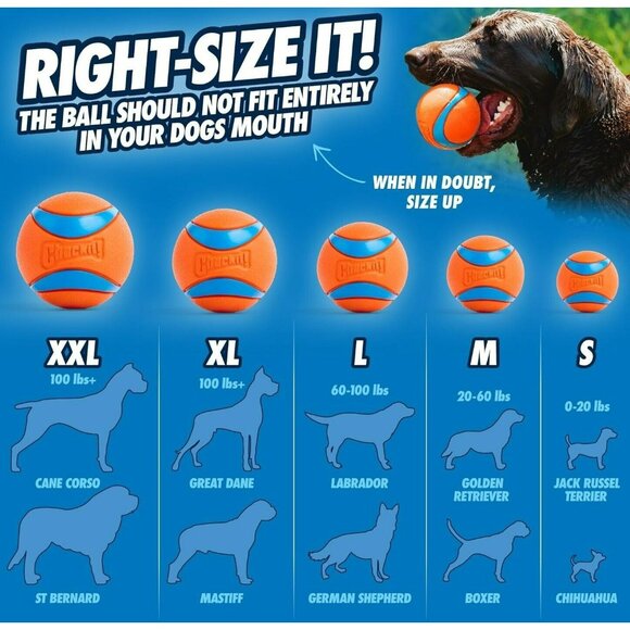 2 New Chuckit! Large Ultra Ball Dog Toy Fetch Floats Durable Rubber Chuck It 3" - Picture 5 of 8